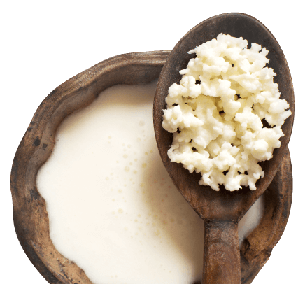 Rice Kefiran 克菲素® 源自於日本純淨大米搭配克菲爾乳桿菌發酵而成