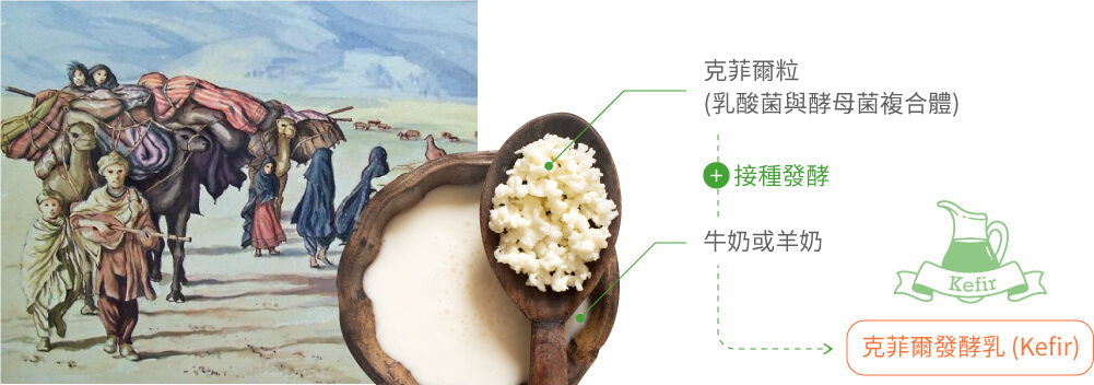 克菲爾發酵乳是高加索人長壽的因素之一