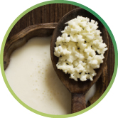 克菲爾粒（含酵母菌、乳酸菌）