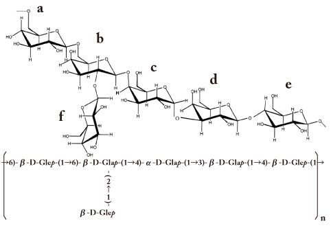Kefiran 的主要結構