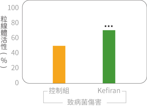 Rice Kefiran 克菲素® 可以強化20%粒線體活性