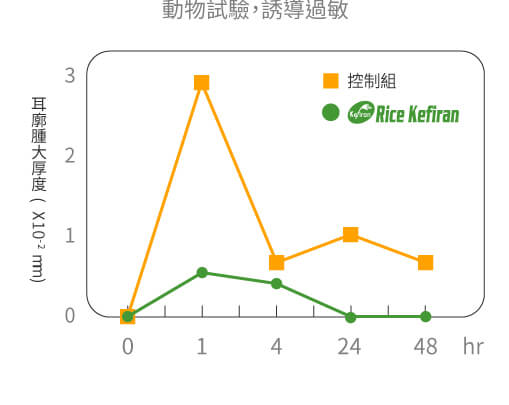 Rice Kefiran 克菲素® 能顯著降低過敏症狀