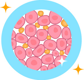 Rice Kefiran 克菲素® 能夠有效降低發炎指數,讓彩色人生更 UP